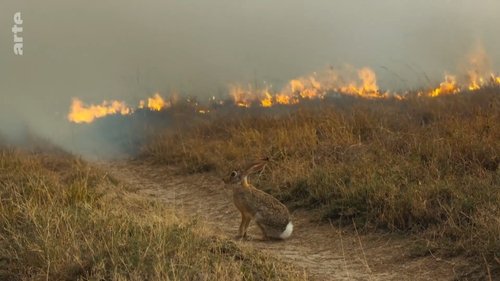 Background image for Episode 3