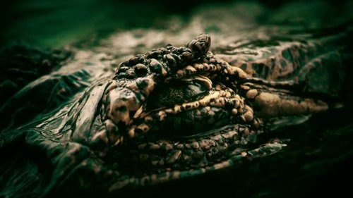 Background image for Living Dinosaur of Liberia