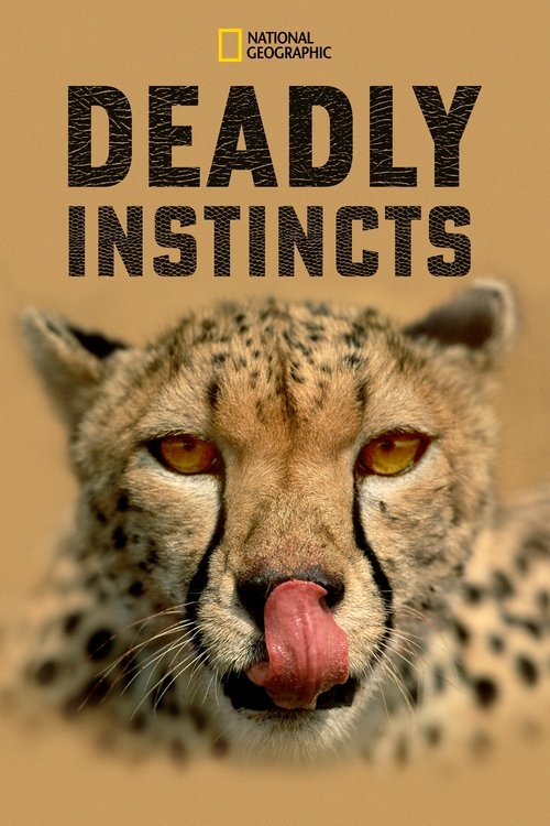 Season 1 poster