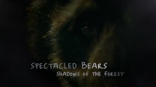Spectacled Bears - Shadows Of The Forest