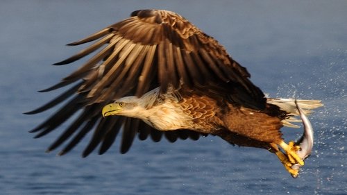 Background image for At the Edge
