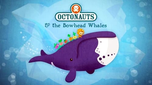 The Bowhead Whales