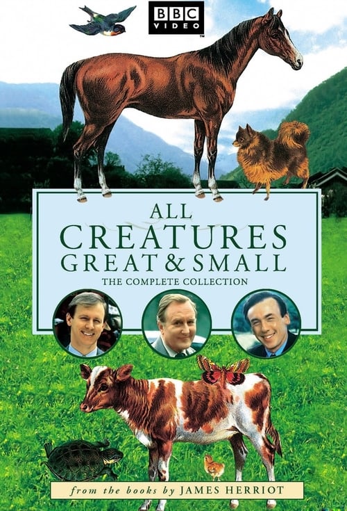 Show cover for All Creatures Great and Small