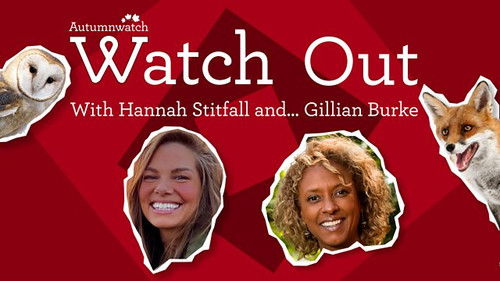 Background image for Watch Out with Hannah Stitfall and Gillian Burke