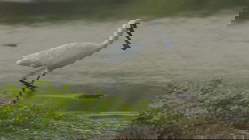 Background image for Episode 10