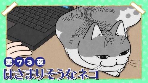 Night 73: A Cat About to Get Stuck