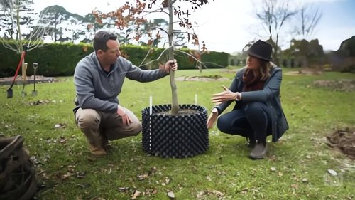 Background image for Episode 18 Planting Trees, Native Climbers & Kiwi Prune