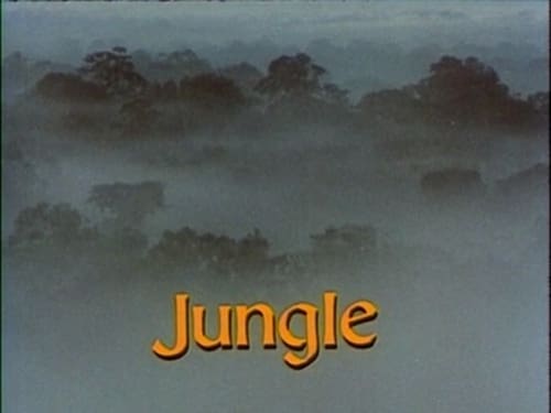 Jungle