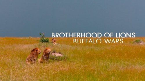 Background image for Buffalo Wars