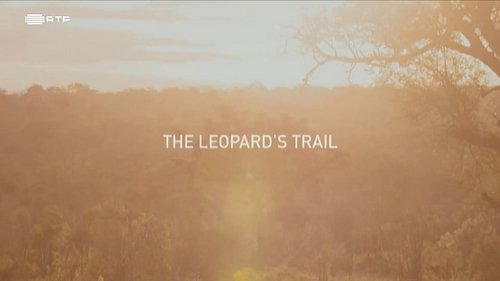 Background image for Episode 6