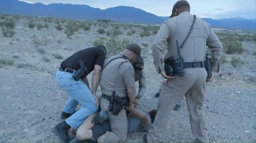 Hidden Gun in the Bushes