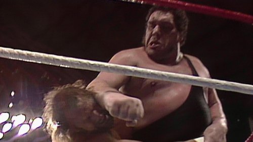 Background image for Saturday Night's Main Event - Nov 26, 1988