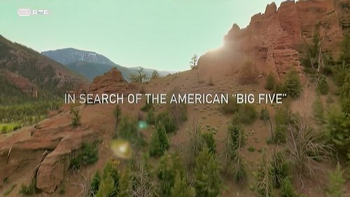 Background image for Episode 1
