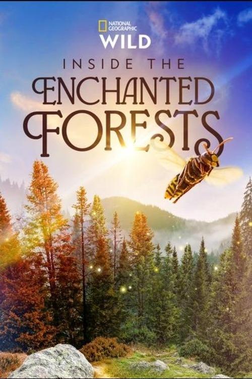 Show cover for Inside the Enchanted Forests