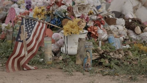 Background image for Mass Shooting Nation