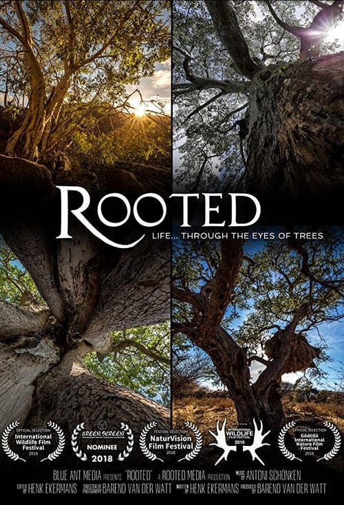 Show cover for Rooted