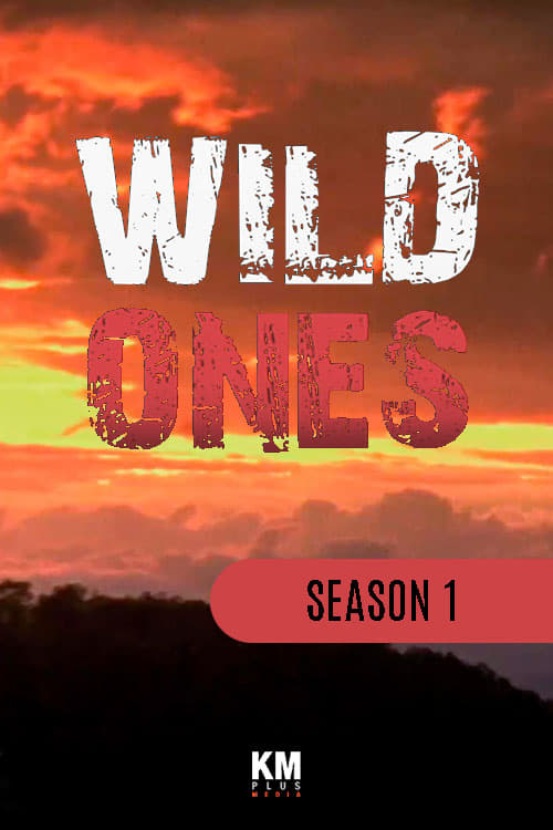 Season 1 poster