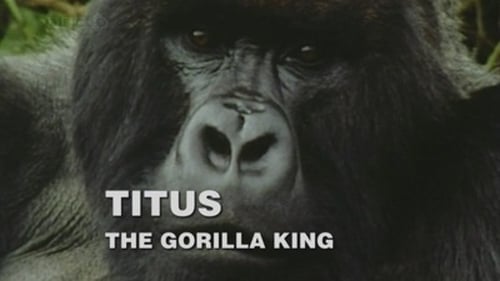 Titus: The Gorilla King