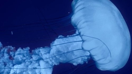 Background image for Episode 3