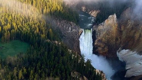 Yellowstone