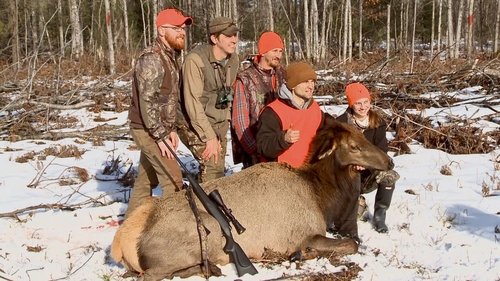 Background image for We Have Elk in Michigan?