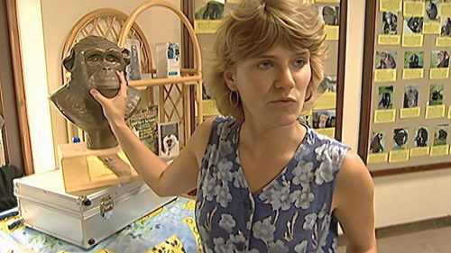 Background image for Episode 12