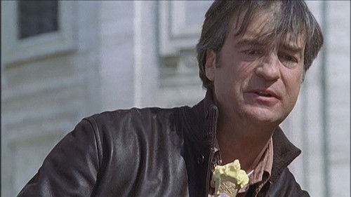 Background image for Head up / The seed of friendship