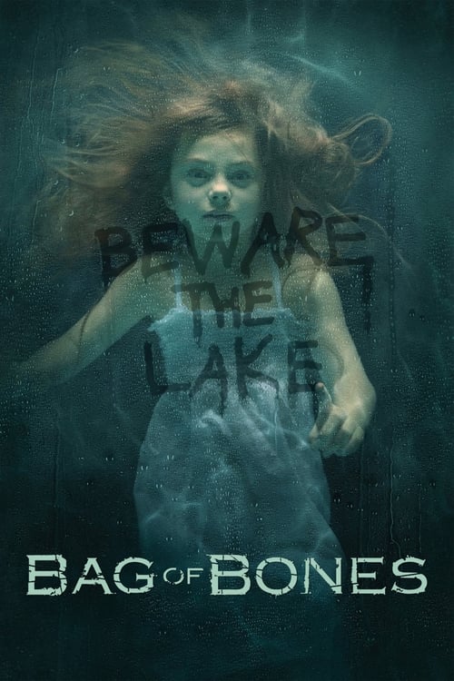 Show cover for Bag of Bones