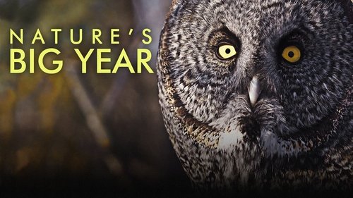 Background image for Nature's Big Year