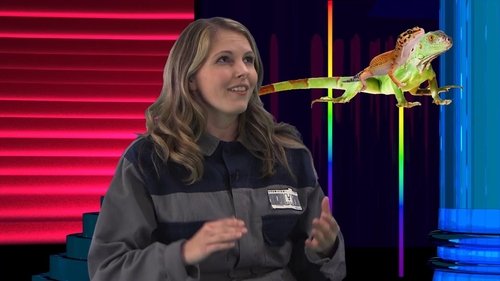 Background image for Tim and Eric Qu?z Game 5
