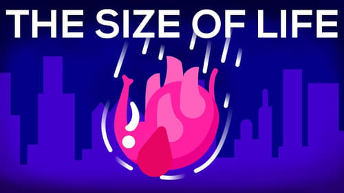 What Happens If We Throw an Elephant From a Skyscraper? (The Size of Life #1)