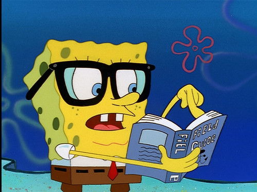 Background image for Tea at the Treedome