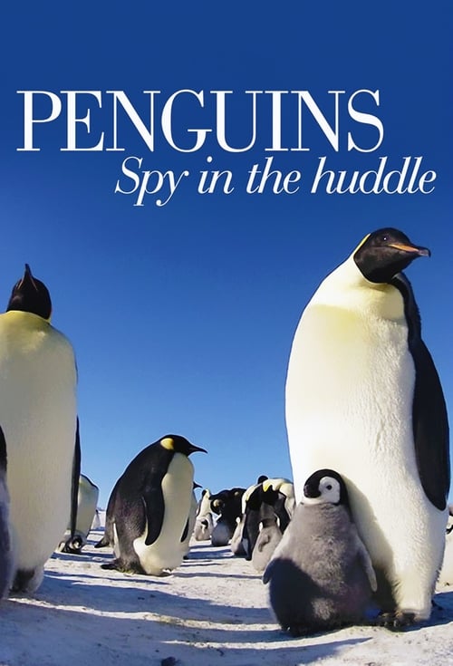 Show cover for Penguins: Spy in the Huddle