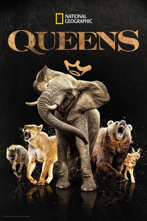 Show cover for Queens