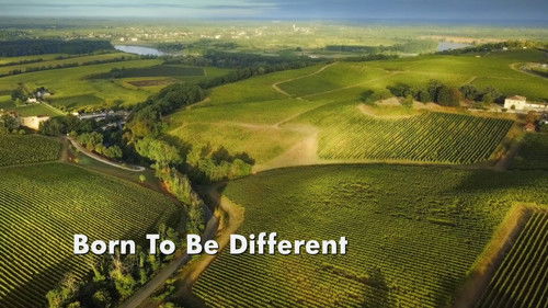 Born To Be Different