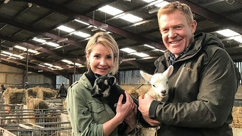 Background image for 24 Hours in the Lambing Shed