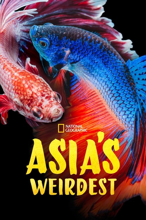 Show cover for Asia's Weirdest