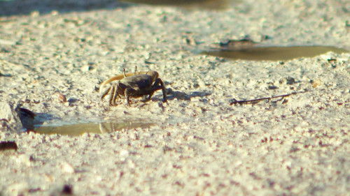 Background image for Episode 4