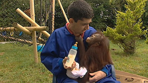 Background image for Episode 5