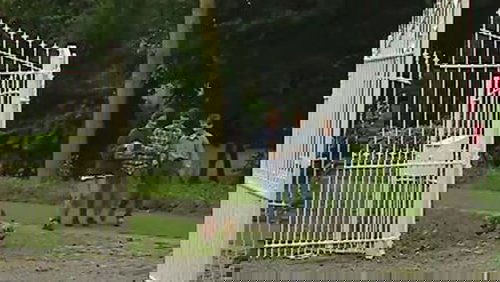 Background image for Zwarte Stanny
