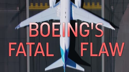 Boeing's Fatal Flaw