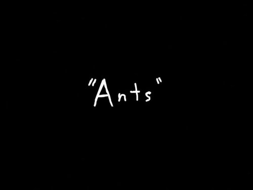 Ants