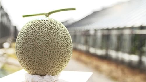 Muskmelon