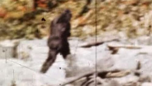 Bigfoot