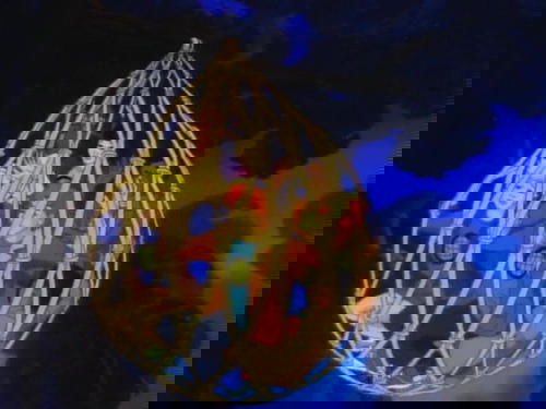 Background image for Wheeler's Ark