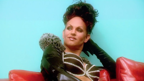 Background image for Cat Fights & Critiques!