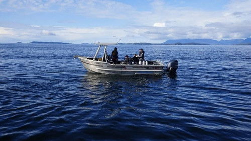 The Troubling Tale of Bute Inlet Gold Pt. 2