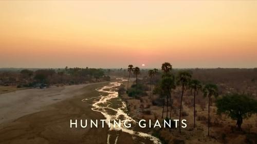 Hunting Giants