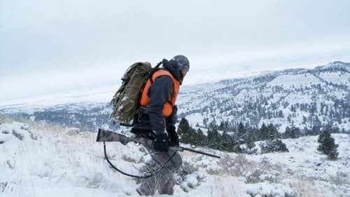 Brotherhood, Badlands and Pack Llamas: Montana Mule Deer