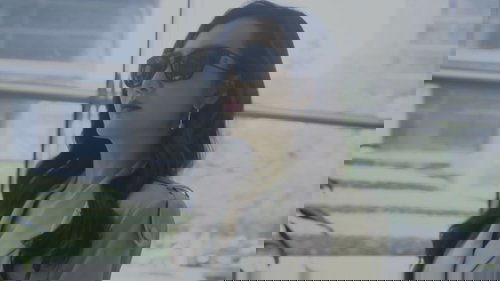 Background image for Episode 1